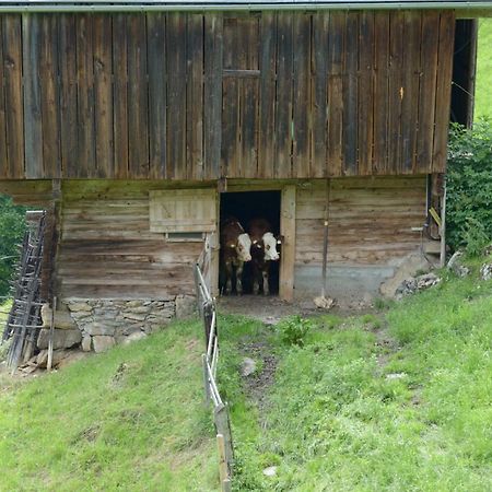 Bergpension-Ebental Brixen im Thale Luaran gambar