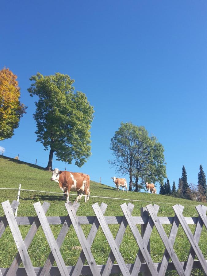 Bergpension-Ebental Brixen im Thale Luaran gambar