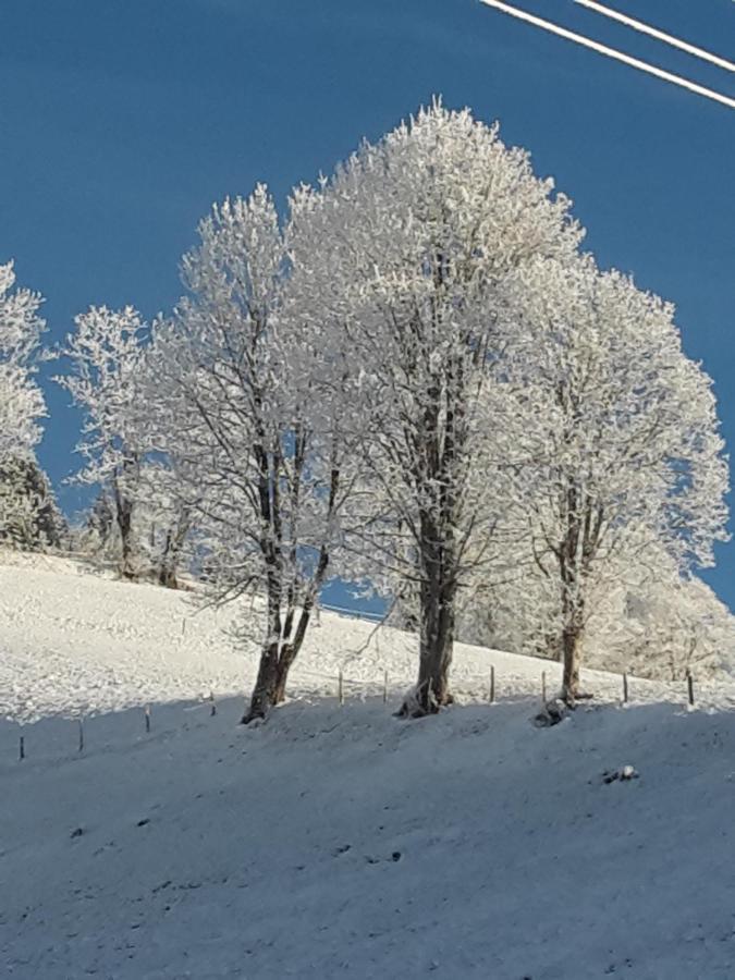 Bergpension-Ebental Brixen im Thale Luaran gambar