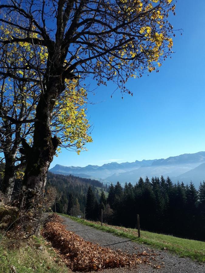 Bergpension-Ebental Brixen im Thale Luaran gambar