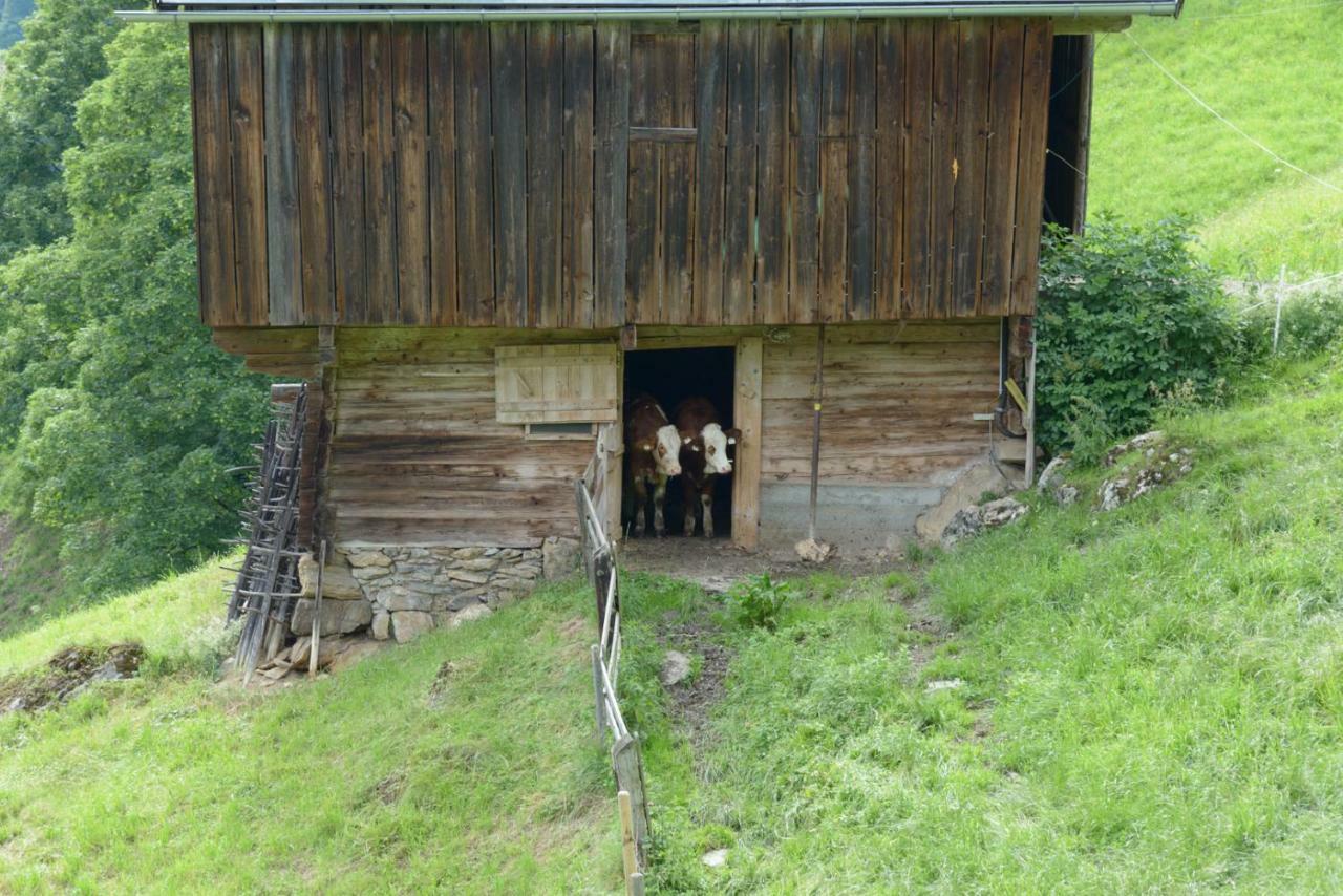 Bergpension-Ebental Brixen im Thale Luaran gambar